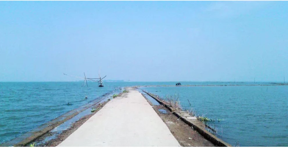 ঘুরে আসুন নাটোরের হালতির বিল বা মিনি কক্সবাজার