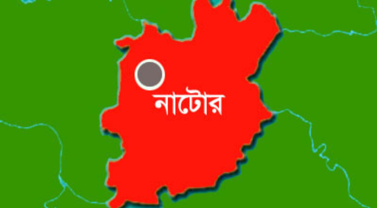 নাটোরে বিকল পিকআপে অপর পিকআপের পিছনে ধাক্কায় নিহত ২