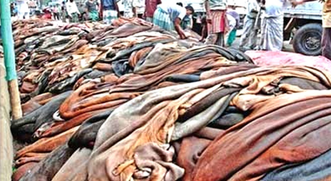 চামড়া কিনতে প্রস্তুত লালবাগের পোস্তা